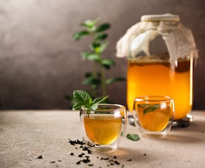 Kombucha de té negro