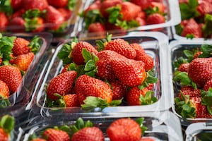 El truco para guardar las frutillas: duran más tiempo y no se llenan de moho
