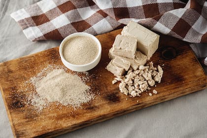 Existen distintas presentaciones de levadura