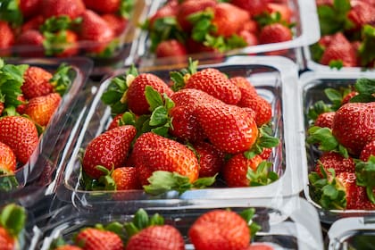 frutillas