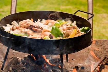 Pollo con vegetales al disco de arado