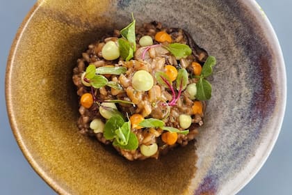 Risotto Fungi