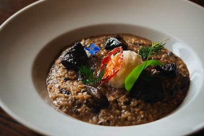 Risotto de hongos