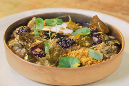 Risotto de cebada perlada y hongos, miel de ajo negro y moras frescas