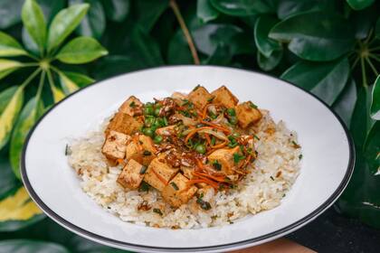 Thai Vegano con arroz