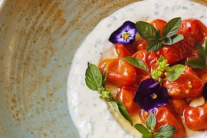 Tzatziki y tomates confitados