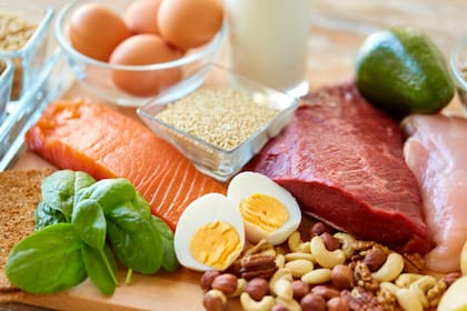 Un almuerzo alto en proteínas contribuye a la construcción y reparación de los tejidos del cuerpo